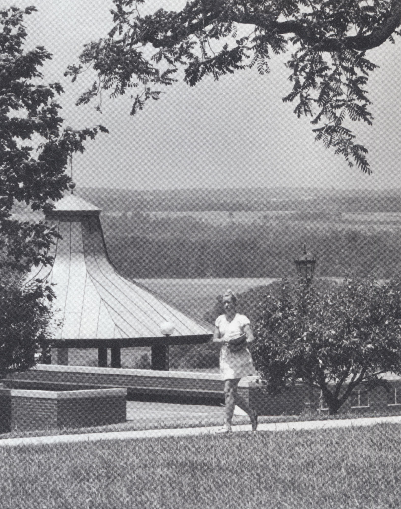 gazebo