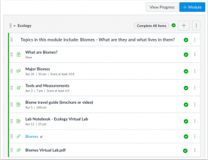 Instructor view of modules