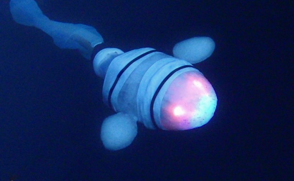 Robot snailfish