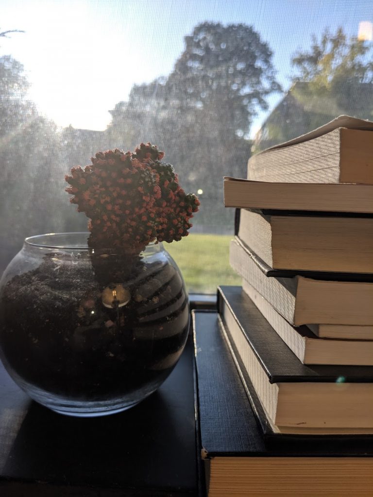 A house plant is pictured next to a tall stack of textbooks