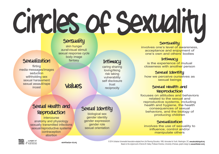 20200514+MTSE+circles+of+sexuality+redbubble+poster